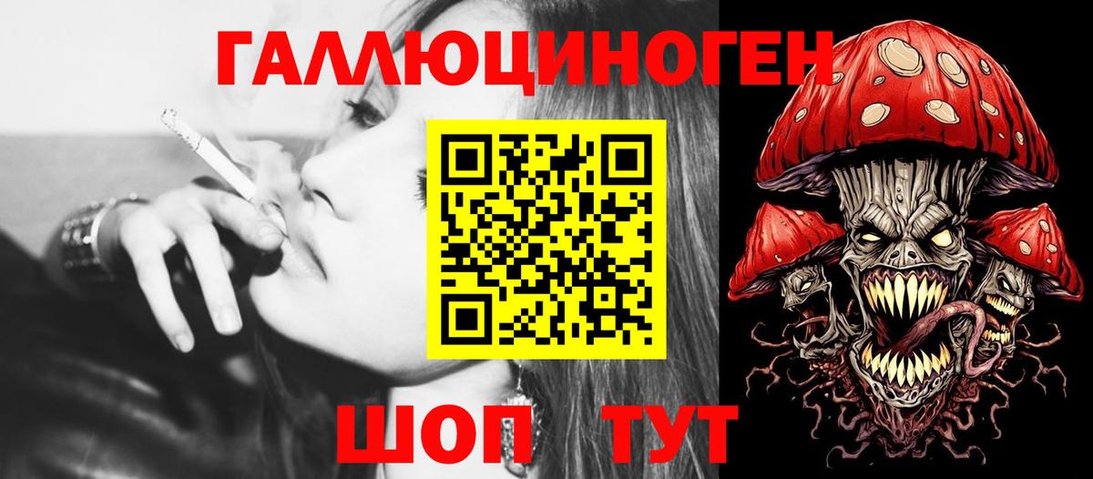 Ярцево  Галлюциногенные грибы Cubensis  Вход с VPN 